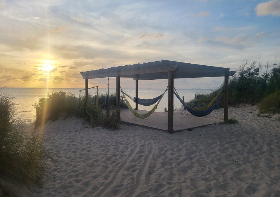 cape charles beach hammock
